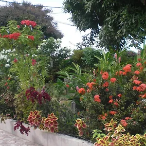 Madelia , Port-Louis Guadeloupe