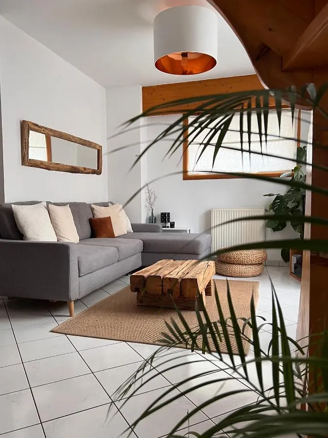 Appartement Spacieux Au Pays Du Mont-Blanc Sallanches