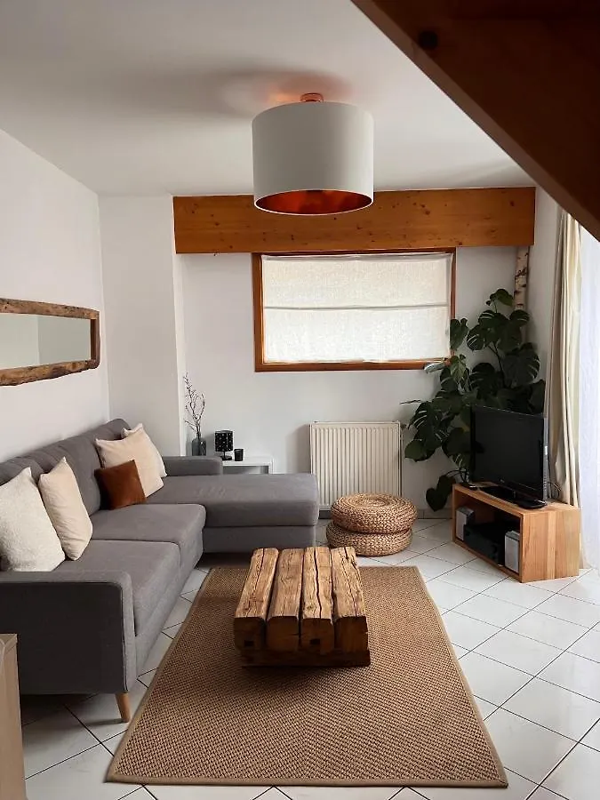 Appartement Spacieux Au Pays Du Mont-Blanc Sallanches 0*,